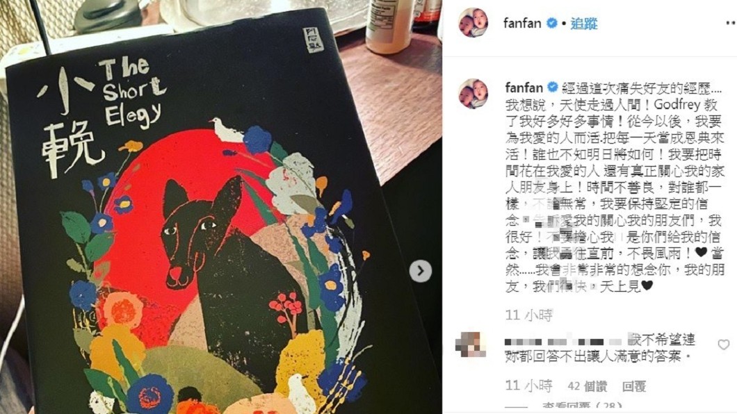 圖/翻攝自范瑋琪IG