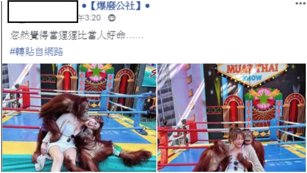 翻攝/爆廢公社