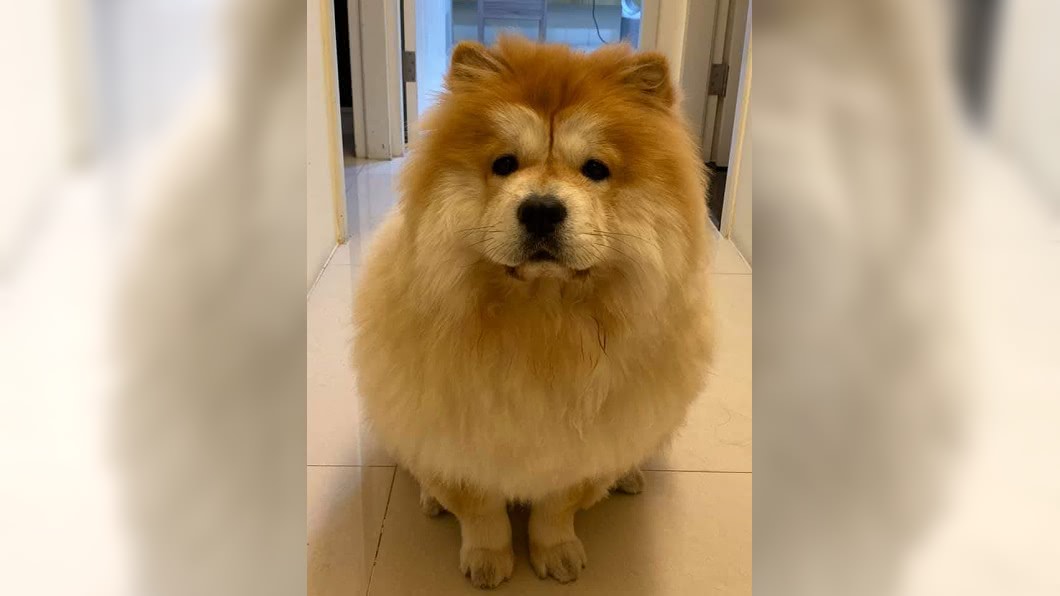原PO無奈發文。圖/翻攝自爆怨公社