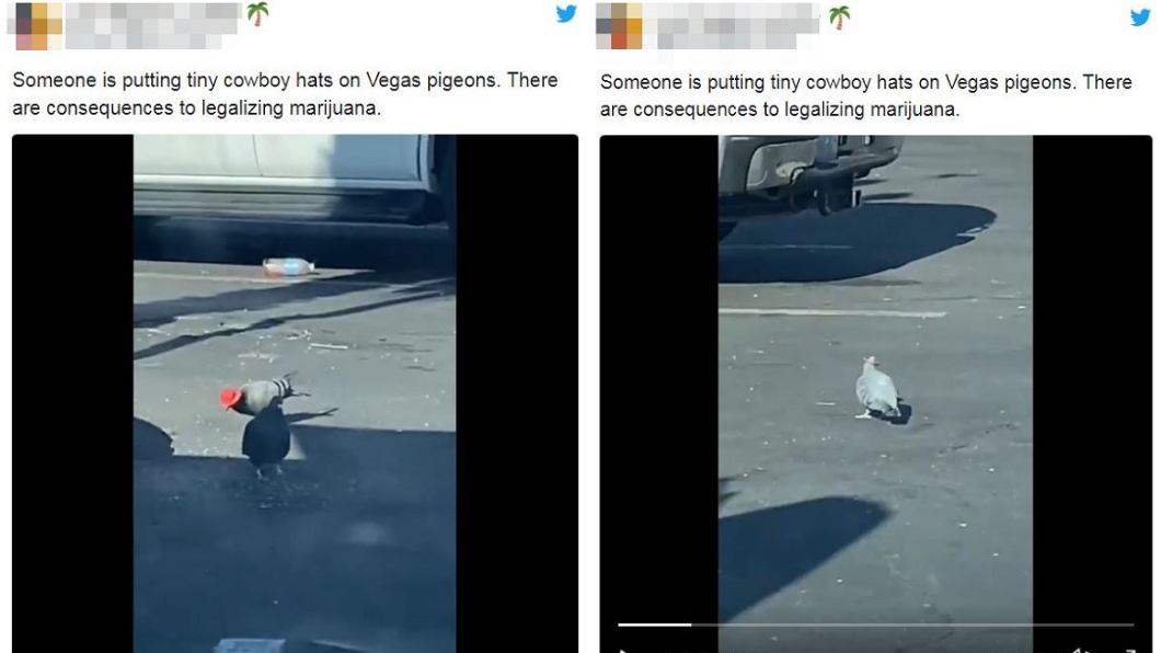 圖/翻攝自推特@LasVegasLocally
