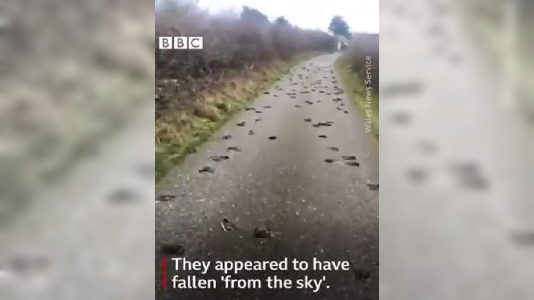 圖/翻攝自推特@BBCWalesNews