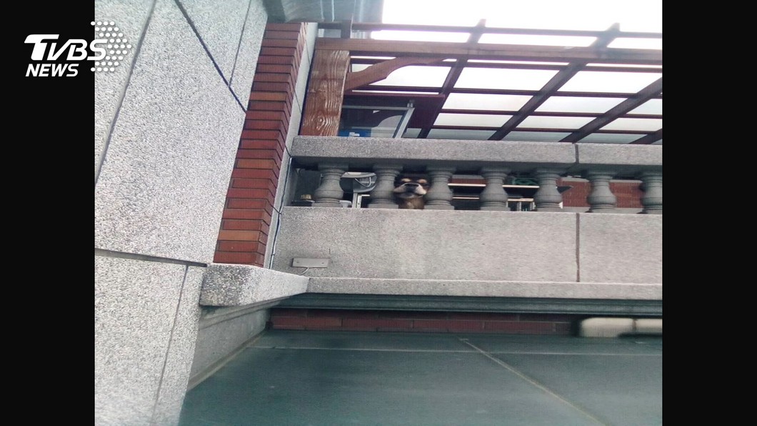 怎在這? 「公用」電話亭裝住家陽台 遭檢舉