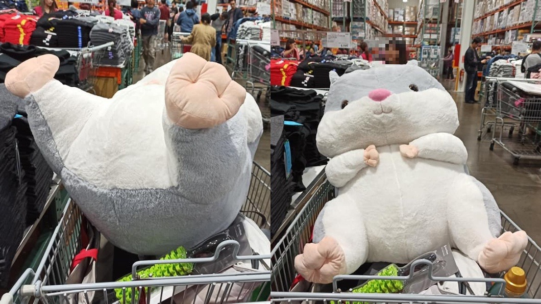 好市多推出巨無霸倉鼠玩偶。圖／翻攝自Costco好市多 商品經驗老實說