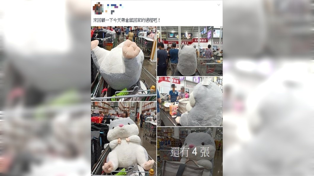 原PO分享運送倉鼠回家的過程。圖／翻攝自Costco好市多 商品經驗老實說