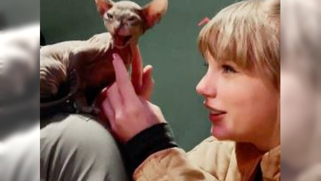 圖/翻攝自taylorswift Instagram