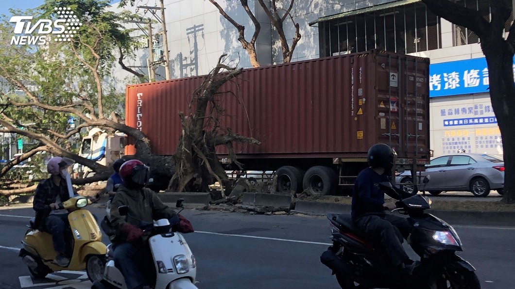 貨櫃車勾倒行道樹波及對向行車 1傷送醫