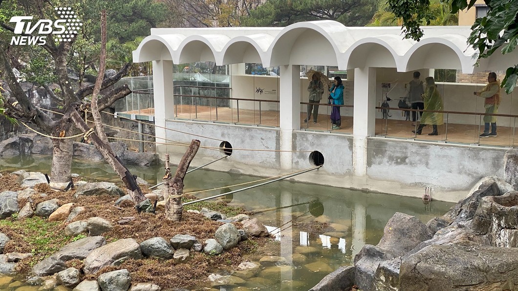 新竹動物園28日重新開園 彙整必看10亮點