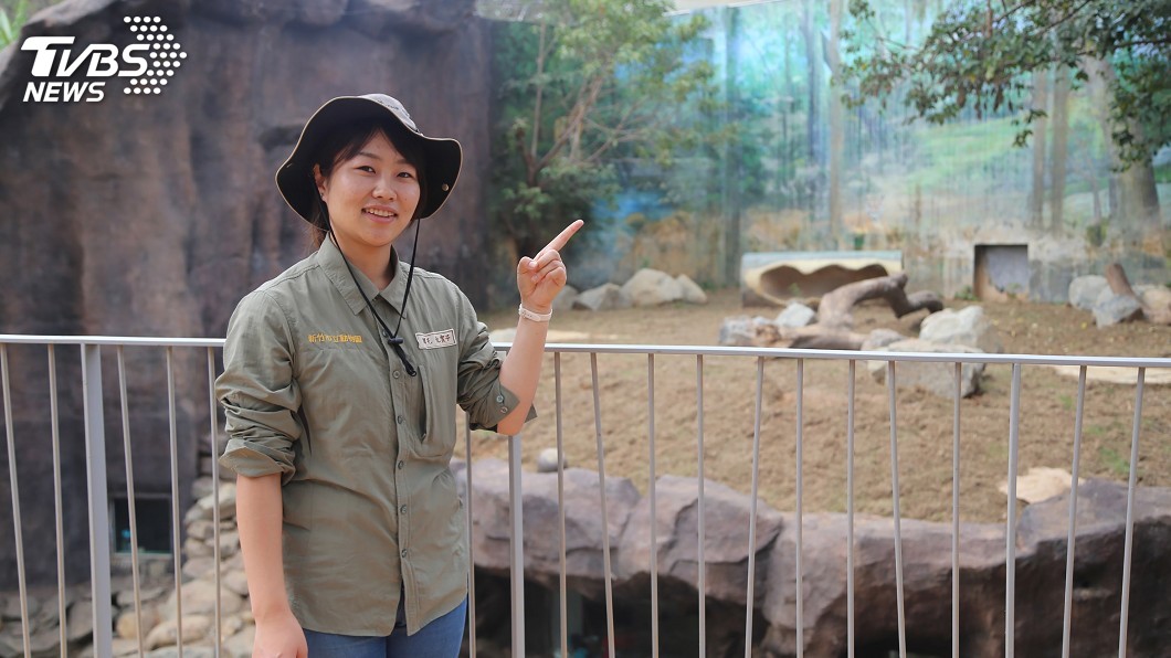 新竹動物園首名外國員工 日本女孩見證園區蛻變
