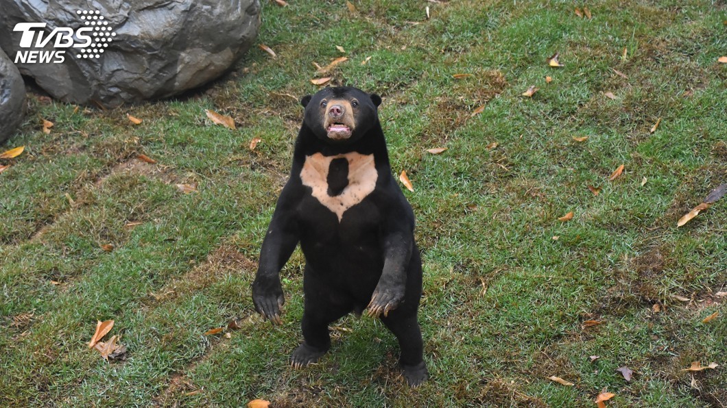 圖/新竹市立動物園提供