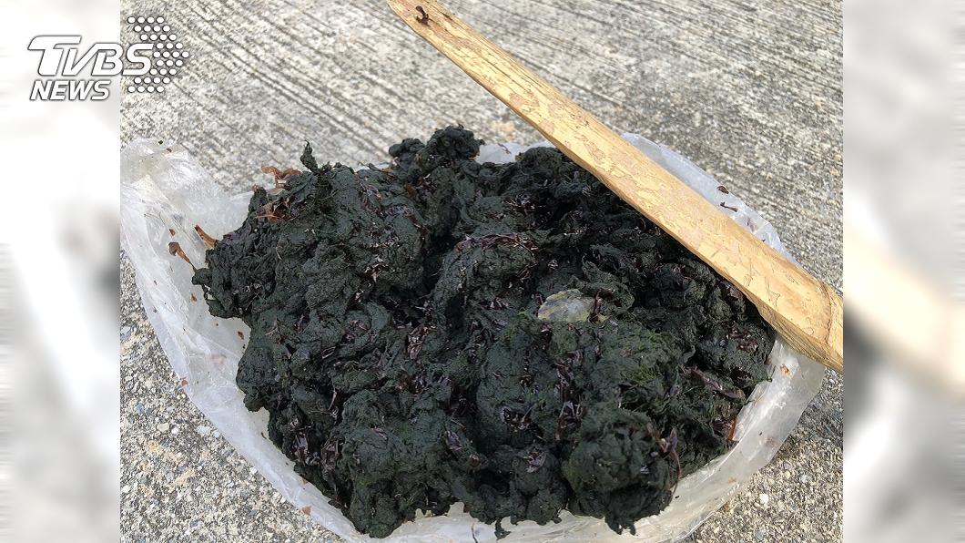 馬祖冬季限定美食 菜垢搶鮮上市