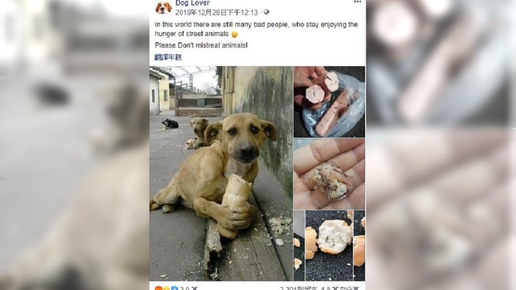 圖/翻攝自dog lover臉書