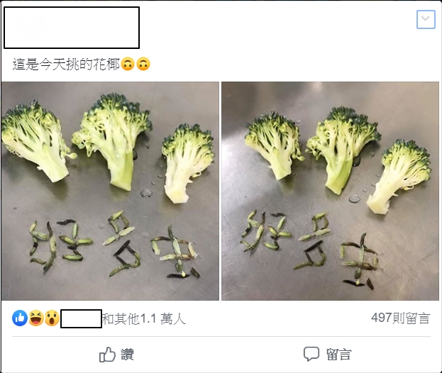圖／翻攝自爆廢公社