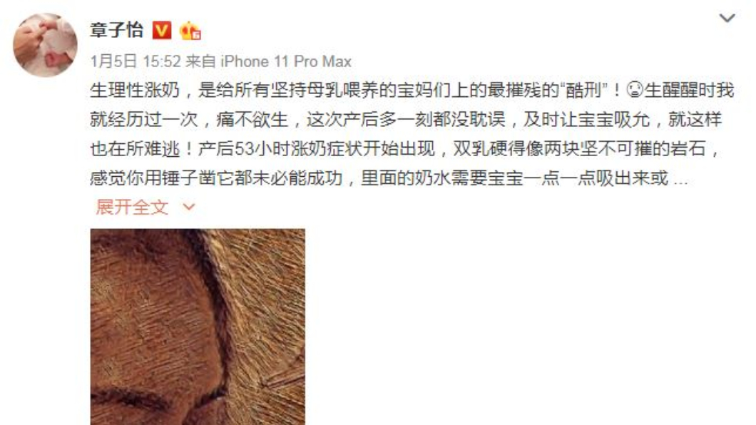 圖／翻攝自章子怡微博