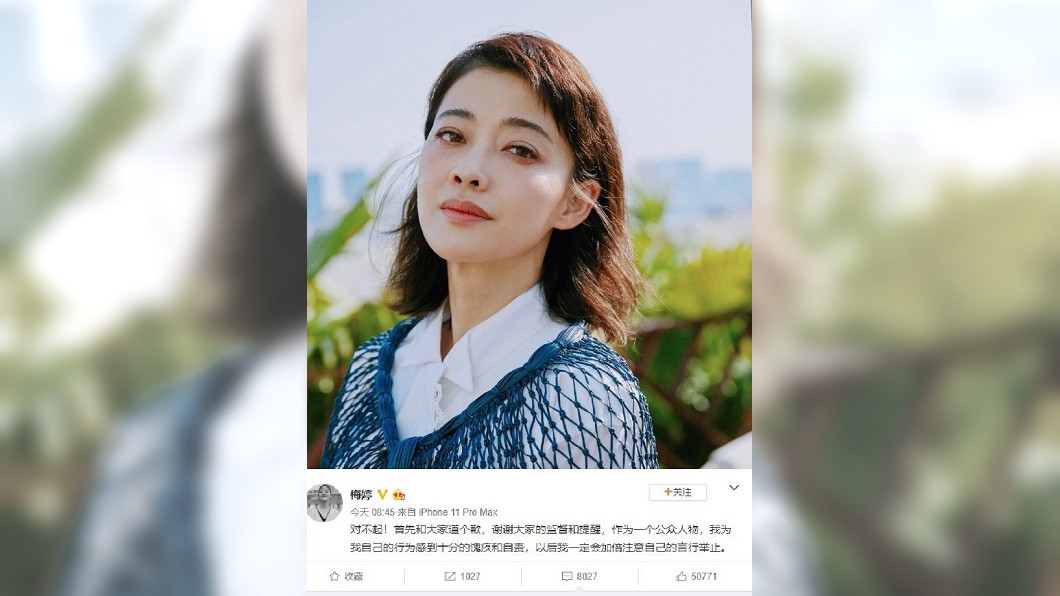 圖/翻攝自梅婷微博