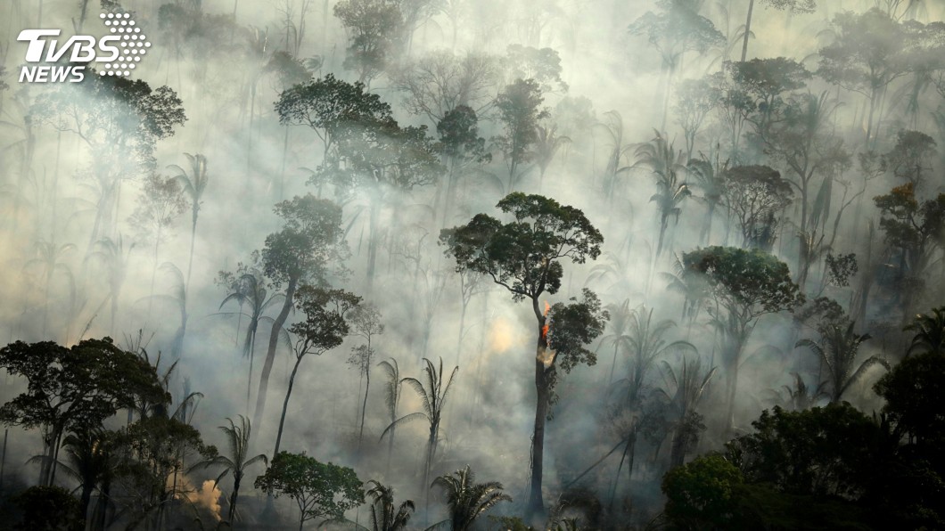 生物多樣性損失大 專家:亞馬遜大火破壞更甚澳洲野火
