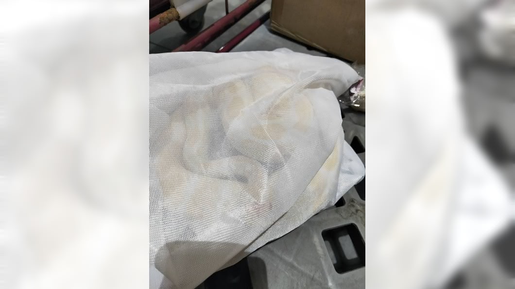 從箱子掉出活體黃金蟒。(圖／翻攝自爆怨公社)