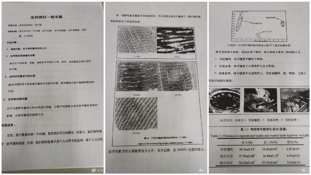 除了親自烤羊腿之外,女網友還把這個過程寫成一個上萬字的論文,分析要怎麼做才美味。(圖/翻攝自微博)