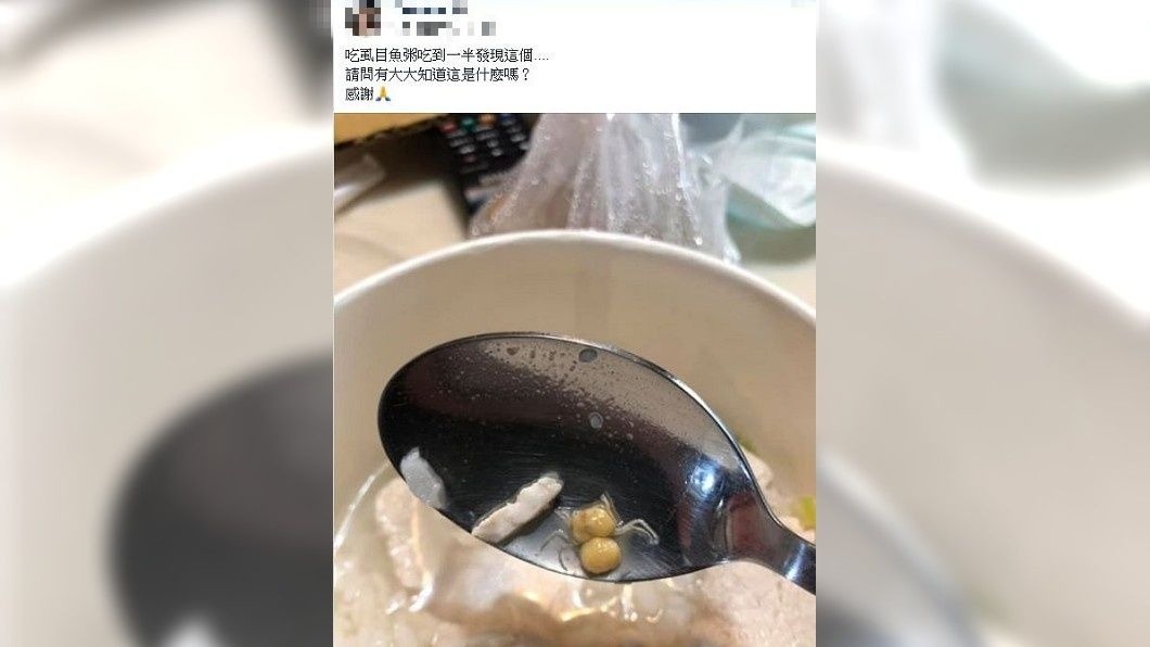 有女網友分享自己在吃虱目魚粥時,挖到2粒BB彈大小的黃色物體。(圖/翻攝自臉書社團爆系知識家)