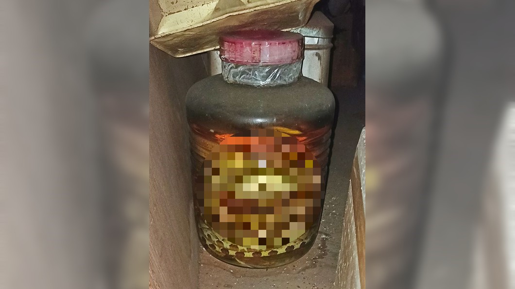 翻出家中30年蛇酒 行家一看內容物驚呆:超值錢!