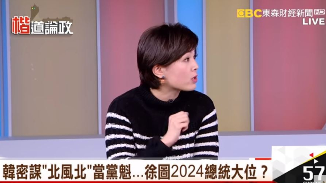 (圖/翻攝自《楷道論政》YouTube)