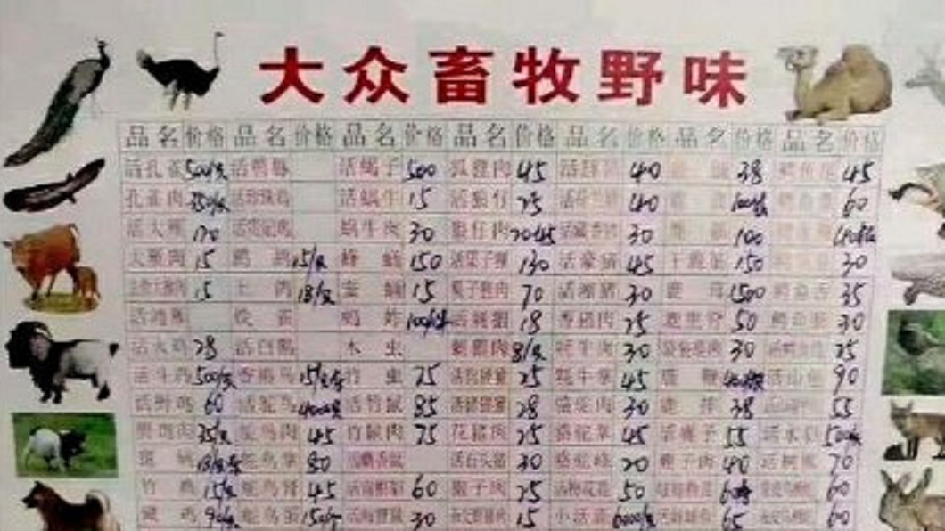 圖/翻攝自璋璋zyz微博