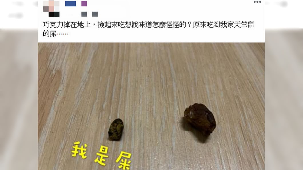 圖/翻攝自爆廢公社二館