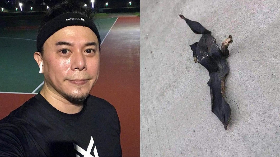 驚見「武漢飛來的蝙蝠」!男星嚇歪後曝真相…網全笑瘋