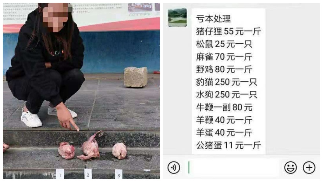 販售野味的女子向警方供稱,這些全都是賣給老主顧的。(圖/翻攝自騰訊網)