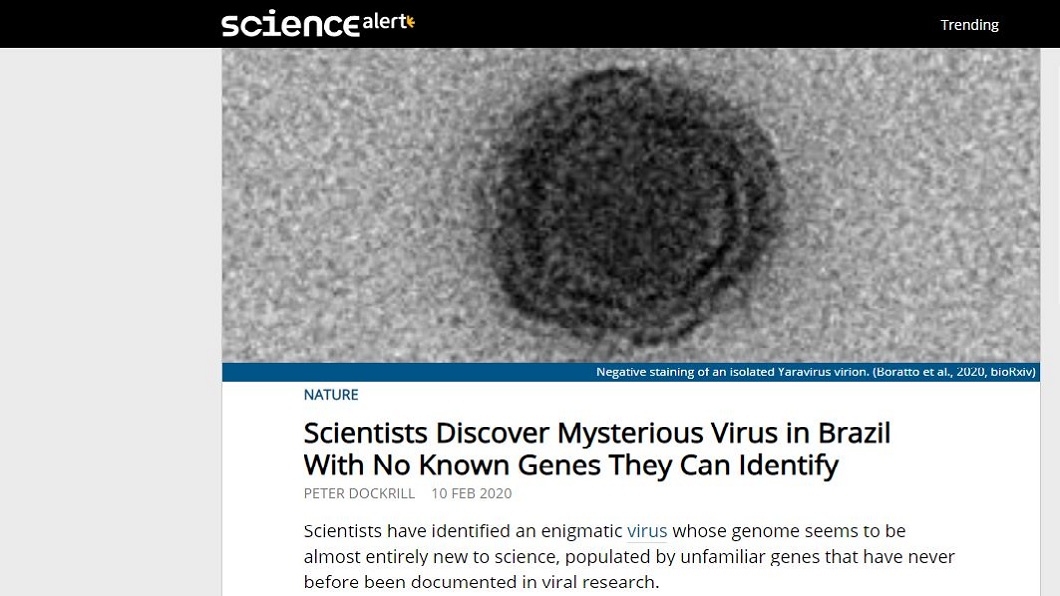 目前該款新型神秘病毒暫時被命名為亞拉病毒。(圖/翻攝自Science Alert)