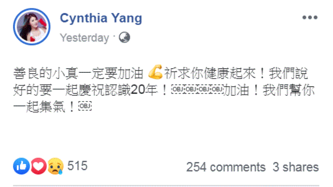 楊麗菁在臉書發文為劉真集氣。(圖/翻攝自楊麗菁臉書)