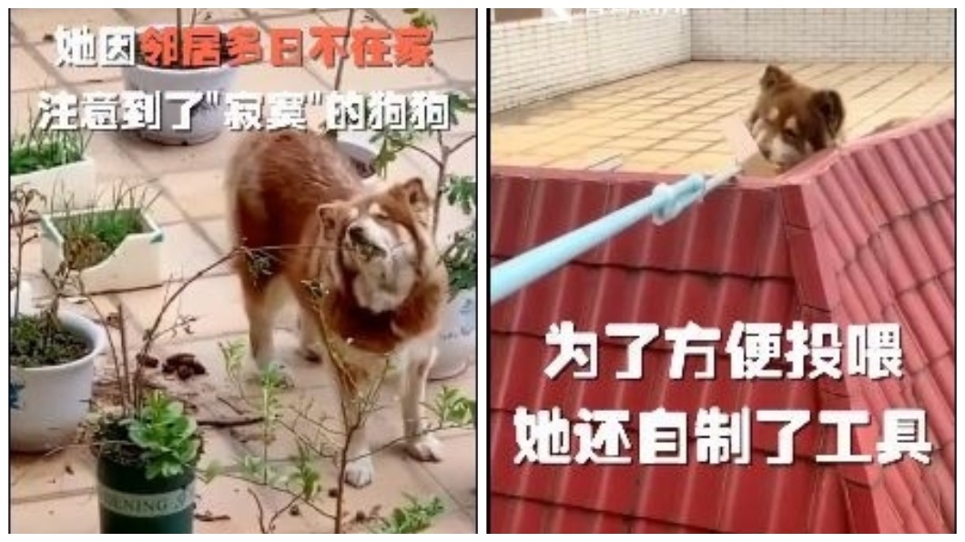 1名女網友發現隔壁鄰居家的狗沒人餵食,於是就自製工具幫忙餵食。(圖/翻攝自微博)