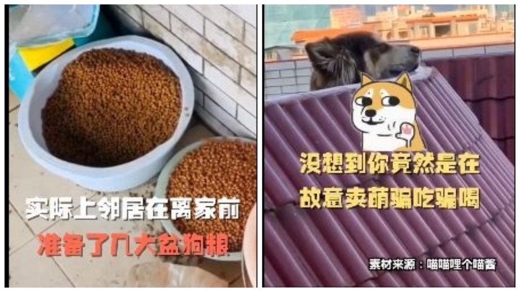 鄰居回來之後,女網友才發現事實真相,讓她好氣又好笑。(圖/翻攝自微博)