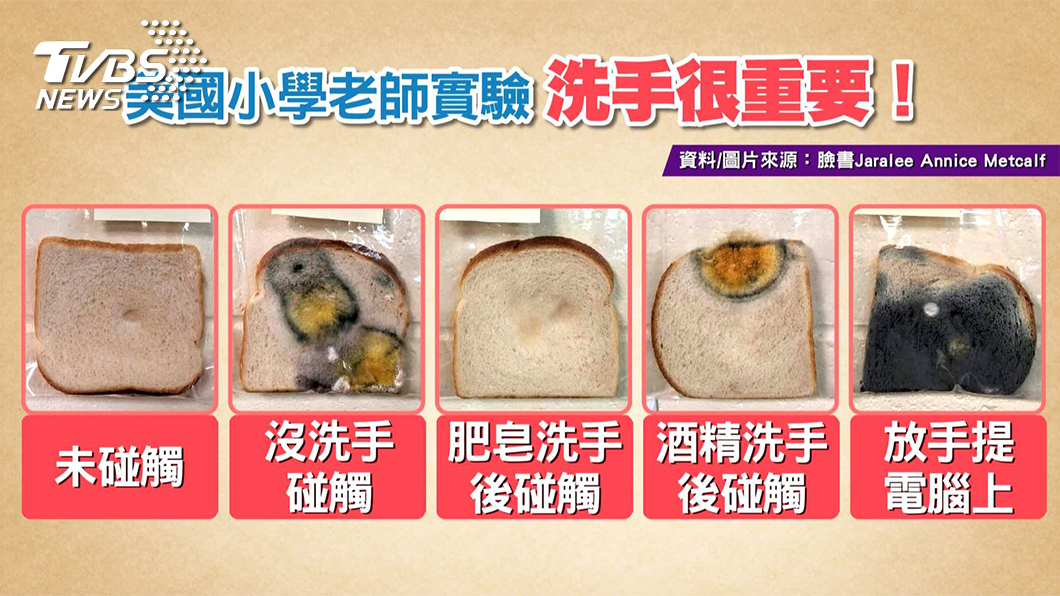 圖/TVBS提供