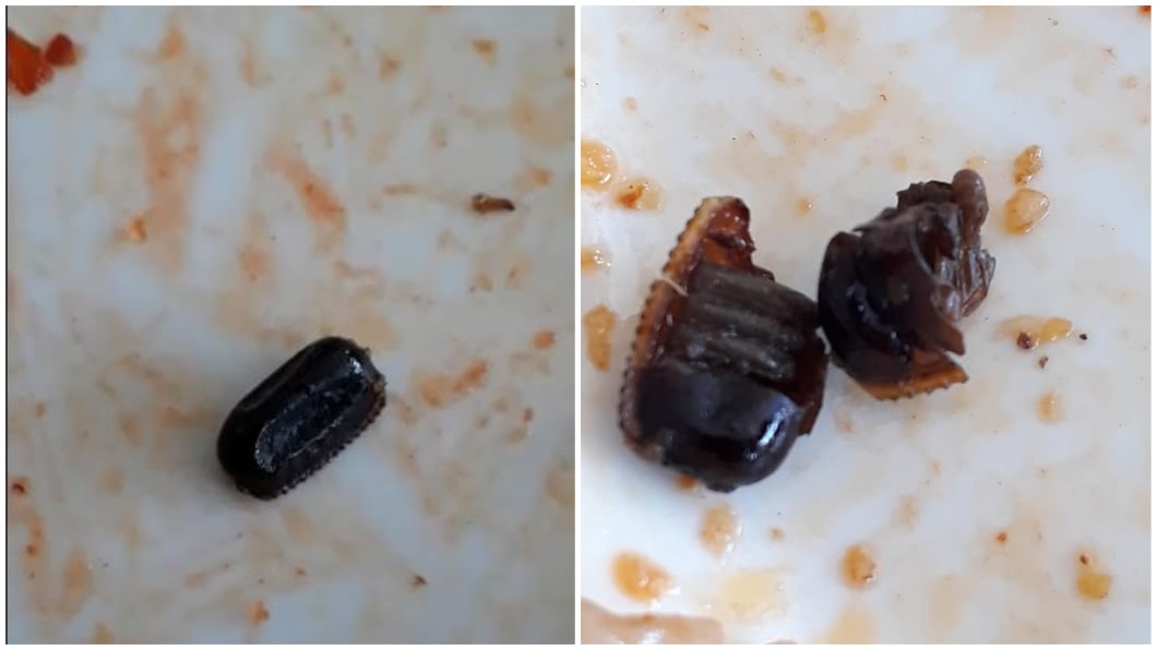 馬來西亞一對夫妻日前到餐廳點了1份炒飯來吃,就在快吃完時,赫然驚見盤底有1顆蟑螂蛋。(圖/翻攝自臉書)