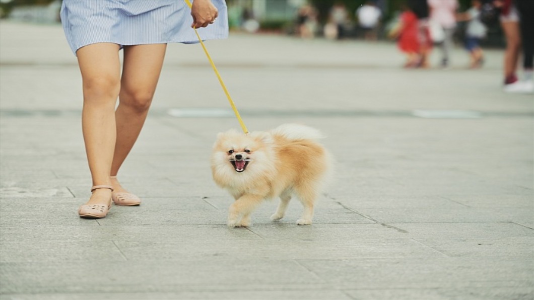 示意圖／達志影像