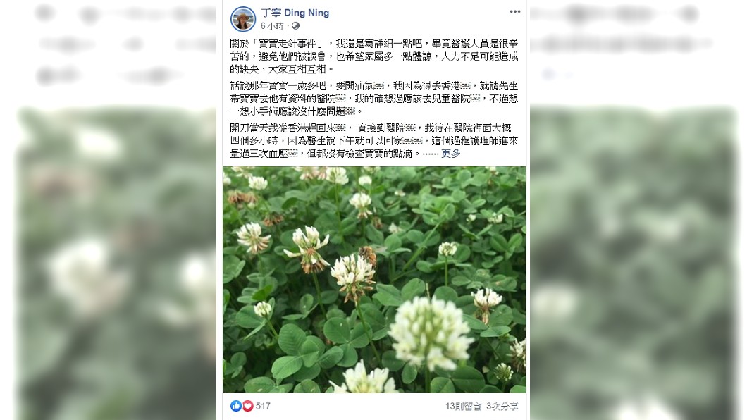圖/翻攝自丁寧臉書