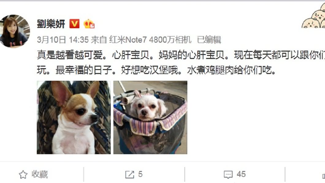 劉樂妍微博最後發文停在10日下午。(圖/翻攝自劉樂妍微博)