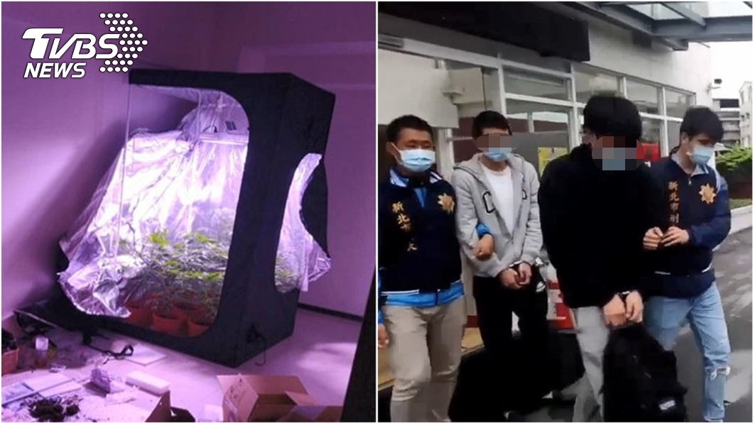 新北上班族扮「自耕農」 自學技術租屋處種大麻下場慘