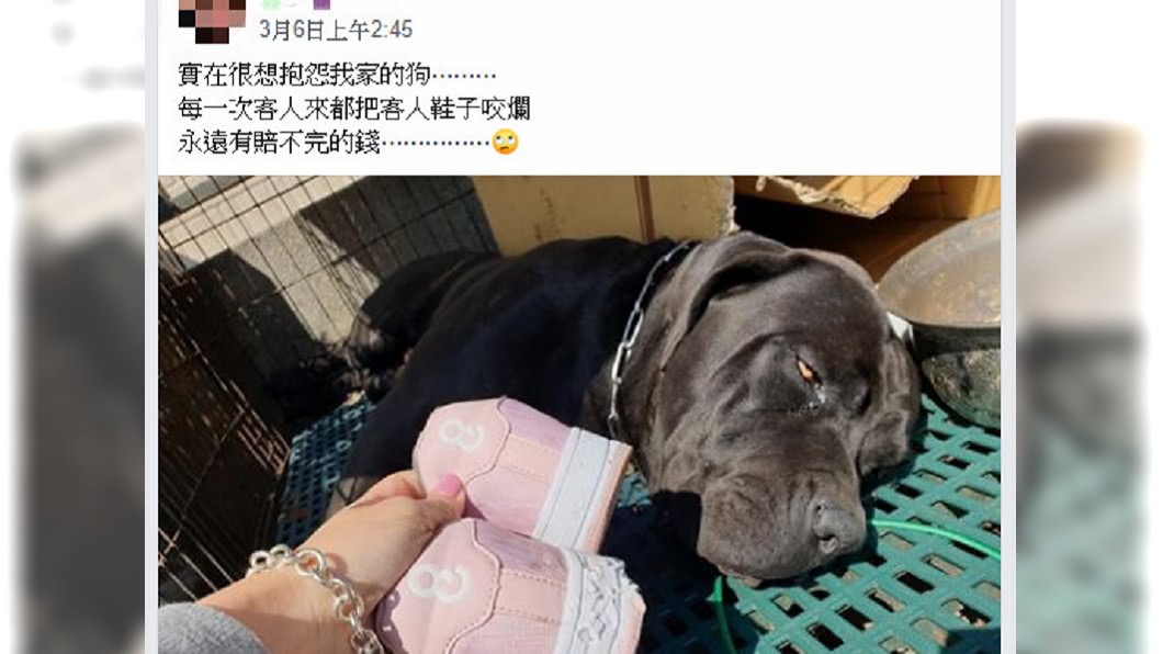 圖／翻攝自爆怨公社