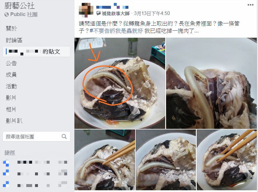 原PO吃鱘龍魚驚見「不明條狀物」，老饕跳出來解答。(圖／翻攝自廚藝公社)