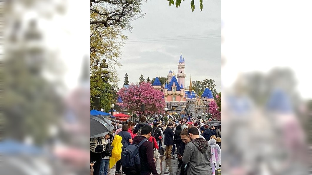 不管疫情衝樂園! 加州迪士尼暫關前一天爆滿