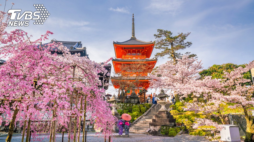 京都4成旅館瀕倒閉 東京推防疫賞櫻包廂