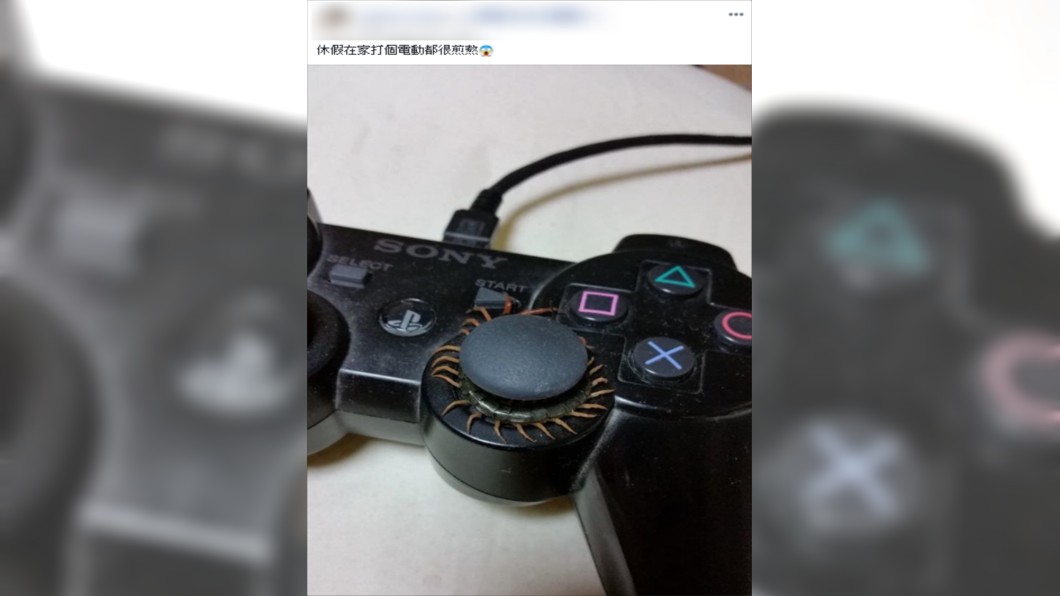 (圖/翻攝自爆廢公社公開版)