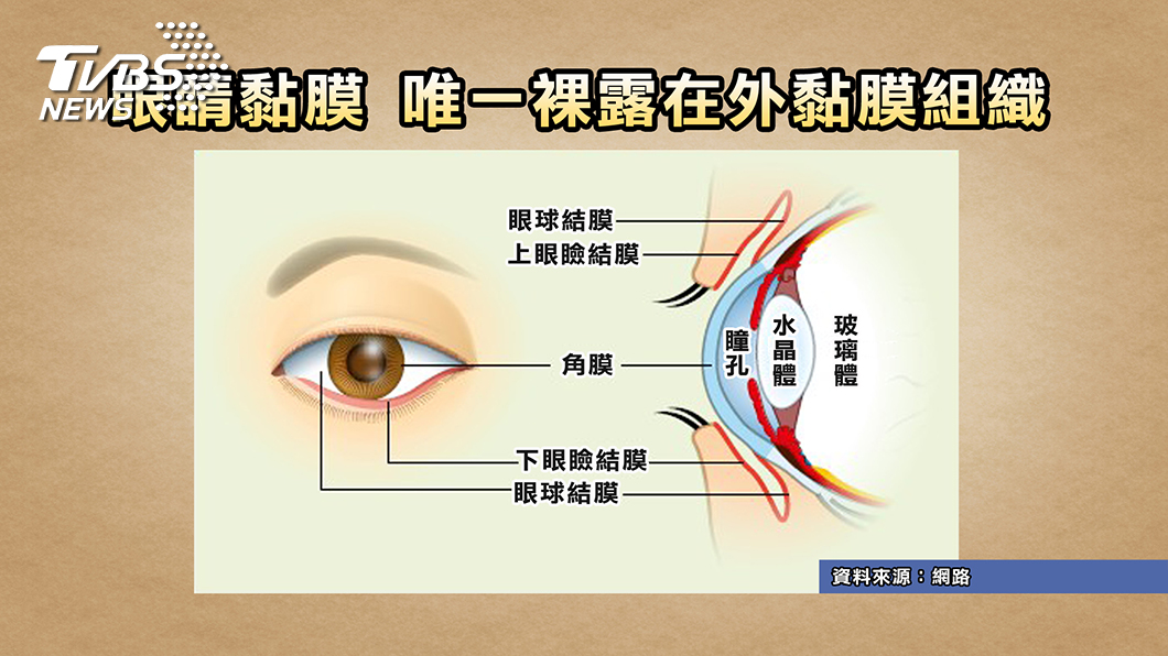 圖TVBS提供