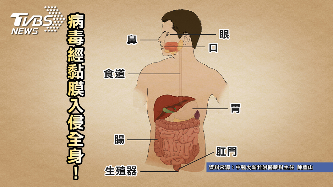 圖/TVBS提供