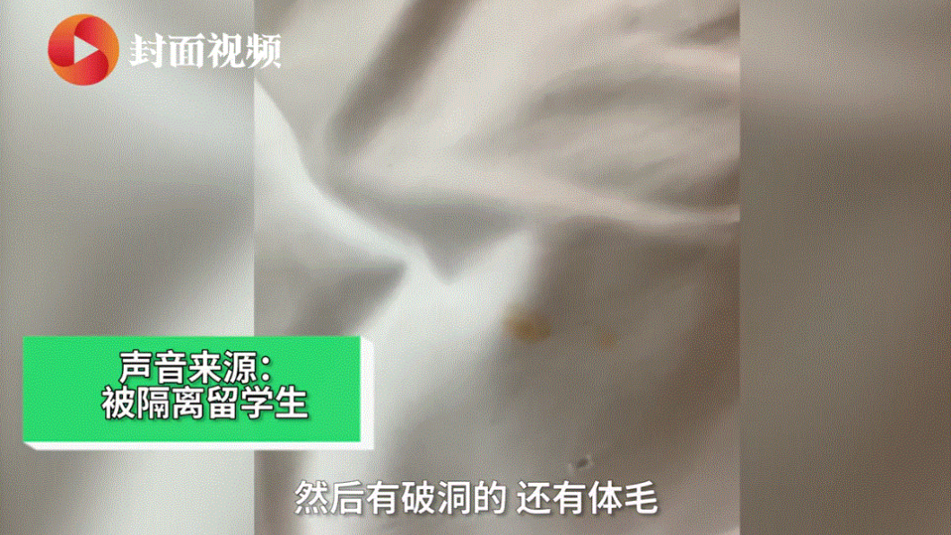 (圖/翻攝自封面視頻)