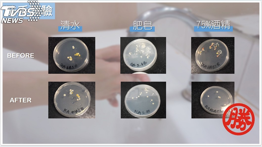 東吳大學實測發現洗手若只用清水,菌落數和沒洗幾乎一樣。(圖/東吳大學提供)