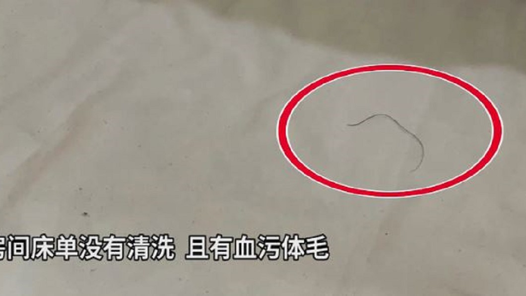 圖/翻攝自愛奇藝