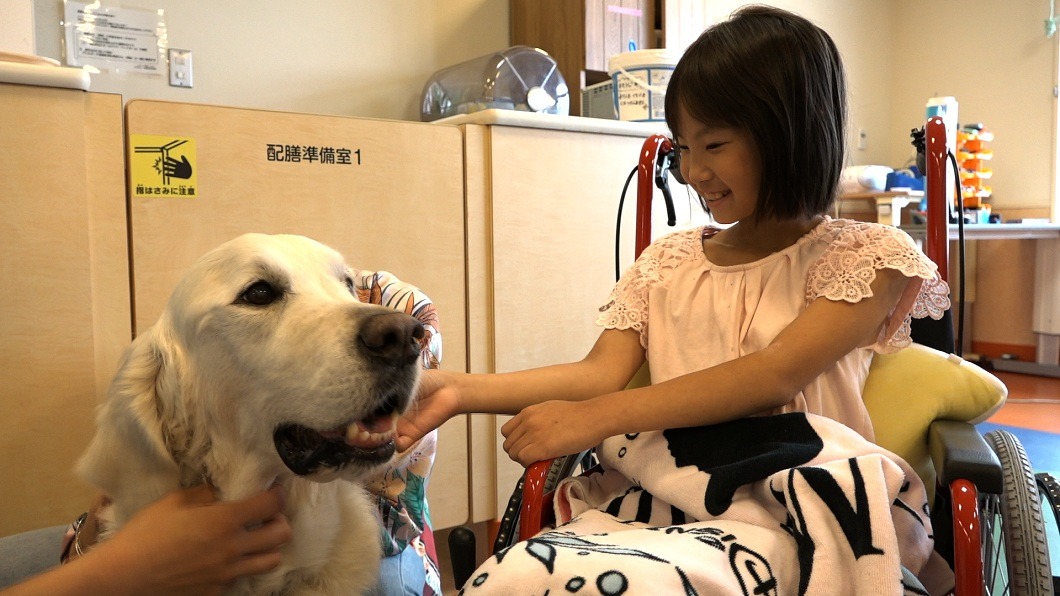 10歲女童重病曾瀕死 陪伴療癒神醫:是毛孩