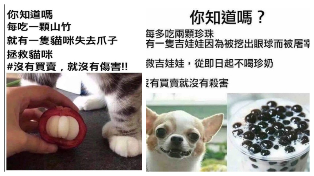 鄉民搞笑貼出梗圖 (圖／翻攝自PTT)